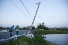 2013_arviz_295