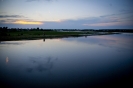 2013_arviz_298