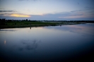 2013_arviz_299