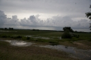 2013_arviz_30