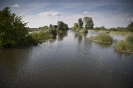 2013_arviz_317