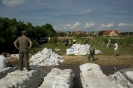 2013_arviz_319