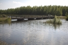 2013_arviz_323