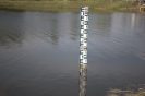 2013_arviz_326