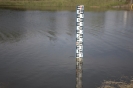 2013_arviz_328
