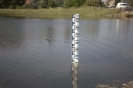 2013_arviz_331