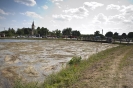 2013_arviz_332