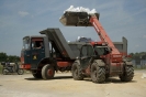 2013_arviz_341