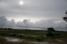 2013_arviz_34