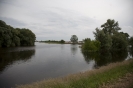 2013_arviz_36