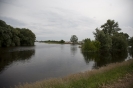 2013_arviz_37