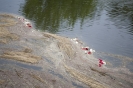 2013_arviz_38