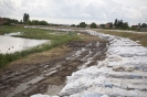 2013_arviz_52