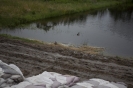 2013_arviz_59