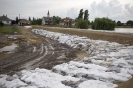 2013_arviz_60
