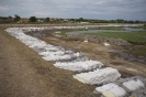 2013_arviz_61