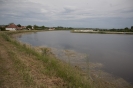 2013_arviz_64