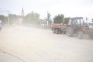 2013_arviz_79