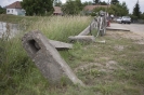 2013_arviz_92