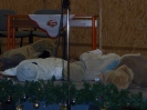2013_falukaracsony_30