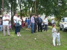 2014_bodza_feszt_84
