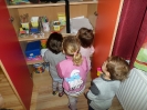 csana_2014_28