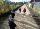 csana_2014_35