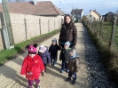 csana_2014_36