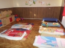 csana_2014_40