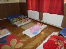 csana_2014_42