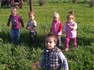 csana_2014_5