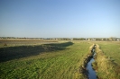koronco_23