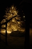 koronco_28