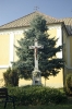 koronco_30