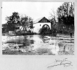 koronco_33