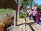 ovoda_2014_kirand_7